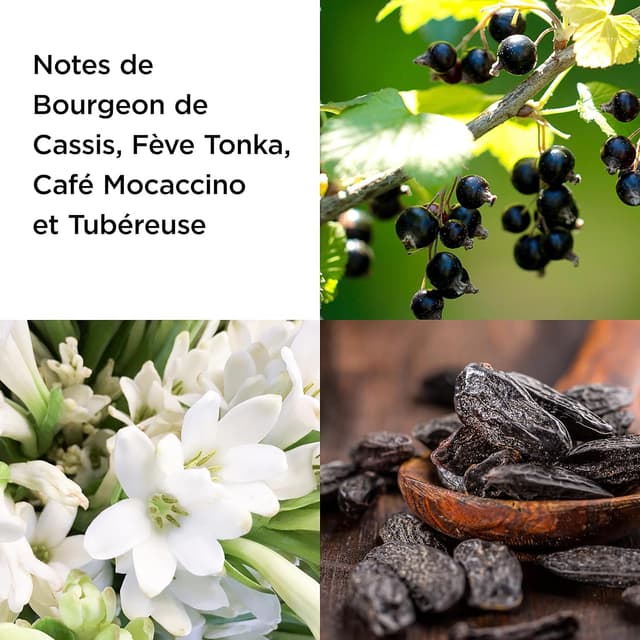 Thumbnail 2 de Elizabeth Arden 5th Avenue Pulse 75 ml