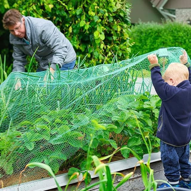 Thumbnail 6 de Green Garden Netting 4m x 12m