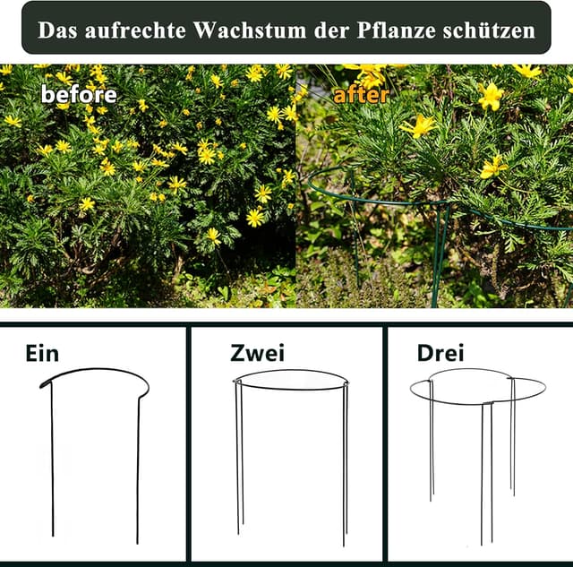 Thumbnail 6 de Metall Ringkäfige 3er-Set 40x25 cm Pflanzensupport