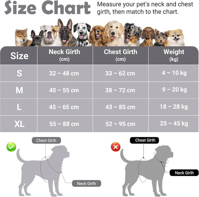 Detalle 2 de Funfox Dog Harness Small (Misty Gray S) – No-pull puppy harness with vertical handle