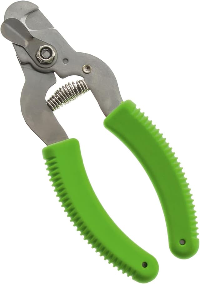 Imagen de Wahl Coupe-Griffes pour chiens đŸ en OfertitasTOP