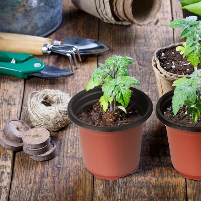 Thumbnail 6 de KINGLAKE 50-pack 10cm Plastic Plant Pots with 100 Plastic Plant Labels