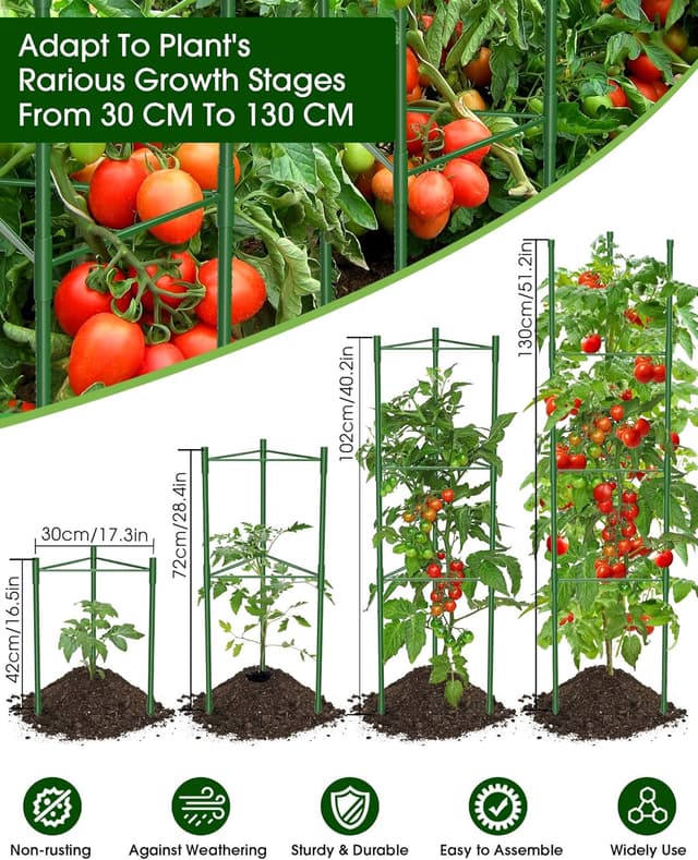 Detalle de MQJIAZHI 6 Pack Tomato Cage for Garden with Height Adjustable Stakes (Extra Bold) up to 51.2in