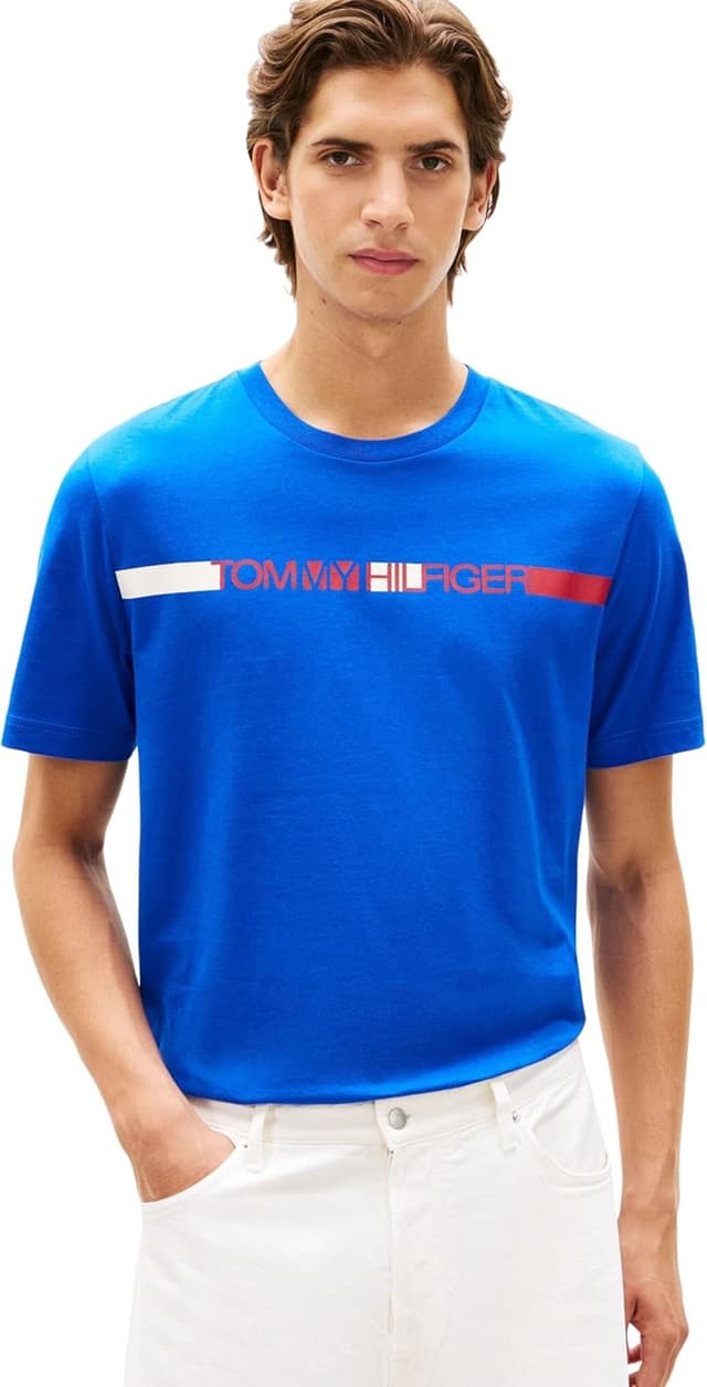 Detalle de Tommy Hilfiger Brand Love Stripe Tee MW0MW42368: t-shirt da uomo a righe per stile casual