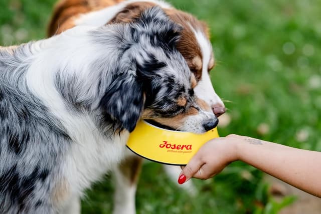 Thumbnail 3 de JOSERA Light & Vital Huhn Trockenfutter 12,5 kg