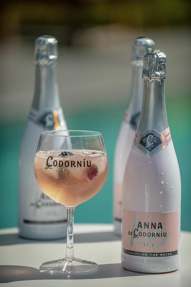 Thumbnail 4 de ANNA DE CODORNIU Ice Edition Rosé 🍾 Cava Rosado 0.75 L