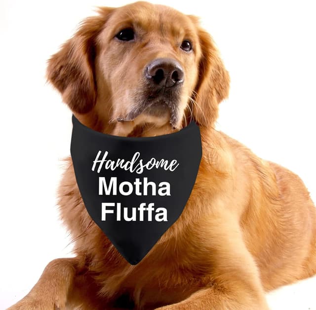 Thumbnail 3 de Handsome Motha Fluffa Dog Bandana 70 x 34 cm