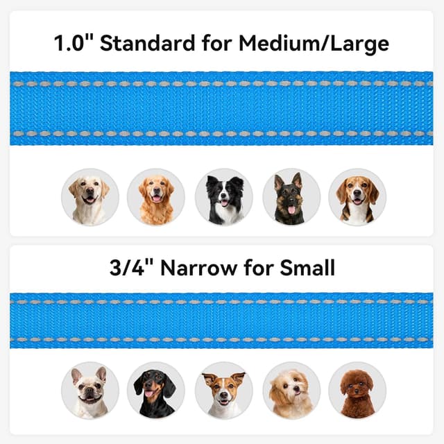 Detalle 2 de Joytale Padded Handle Dog Lead with Double-Sided Reflective Nylon (SkyBlue)