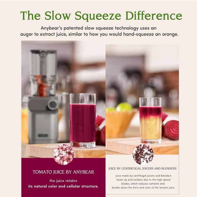 Thumbnail 3 de Anybear Entsafter 200W Slow Juicer