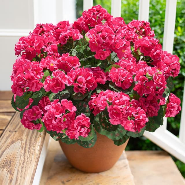 Detalle de HyeFlora Artificial Geranium Fake Flowers for Outdoors Decoration (6 Bundles) — UV Resistant Silk, Hot Pink