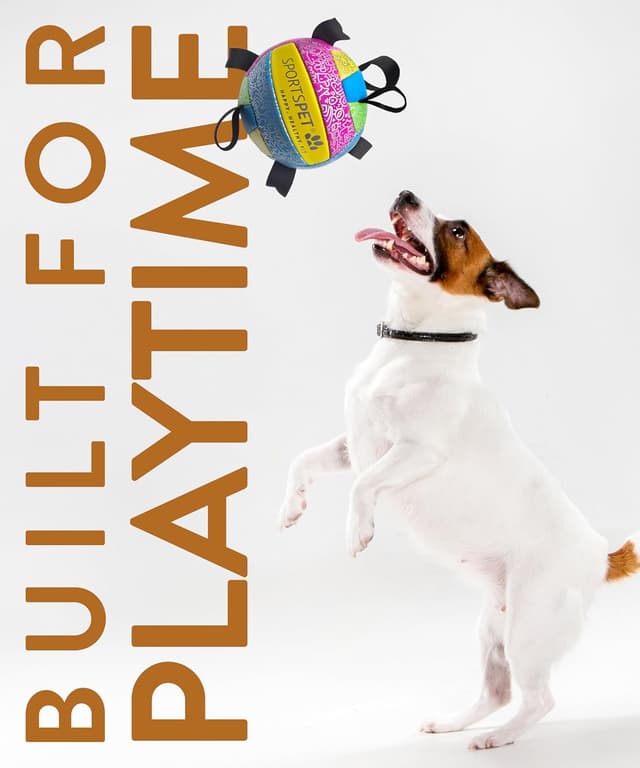 Detalle de SPORTSPET Dog Football with Grab Tabs (Small, Multicolour) – Durable PU interactive water toy