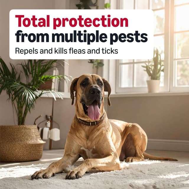 Detalle de Amazon Basics Flea and Tick Treatment X-Large 3-count