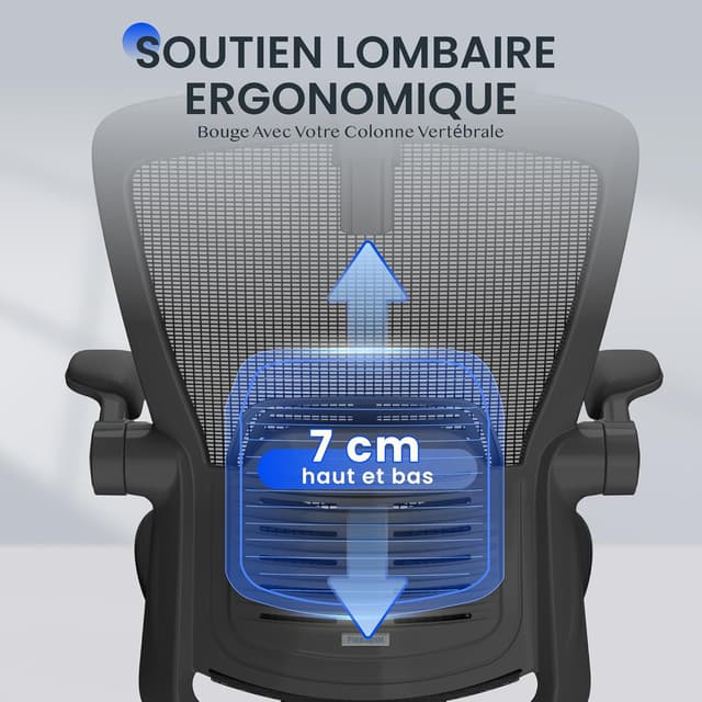 Thumbnail 4 de FLEXISPOT Chaise de Bureau Ergonomique 150 kg đș