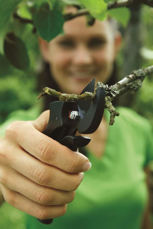 Thumbnail 11 de Fiskars P90 Tijeras de podar Bypass 🌿 Corte preciso y fácil