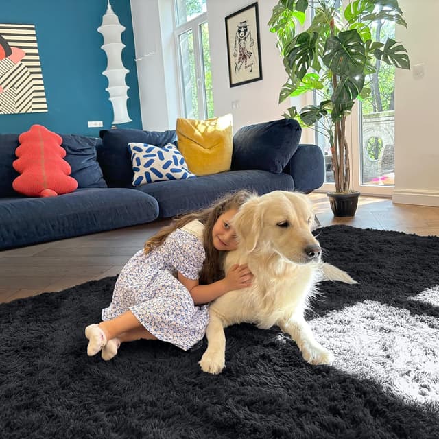 Thumbnail 4 de Homaxy Hochflor Teppich 240 x 340 cm