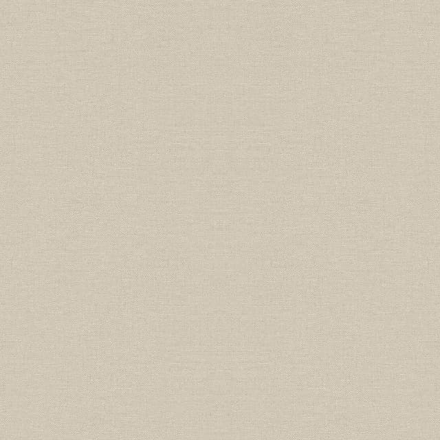 Imagen de Rasch Singapur Papel pintado TNT liso texturado 🏠 en OfertitasTOP