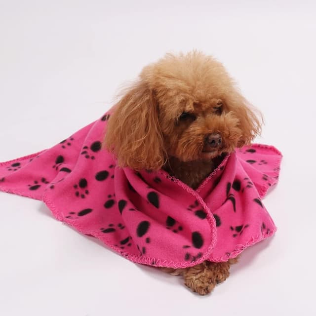 Thumbnail 6 de Aliangting 4Pcs pet blanket set 60 x 70 cm