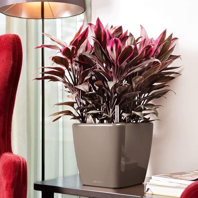 Thumbnail 3 de LECHUZA QUADRO Premium LS 28 taupe lucido