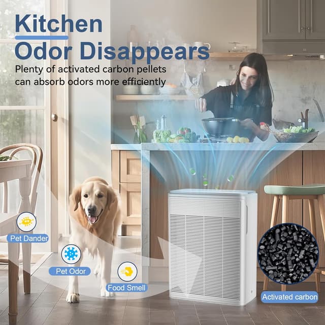 Thumbnail 5 de AIUZLK P260 Air Purifier 2000 ft²