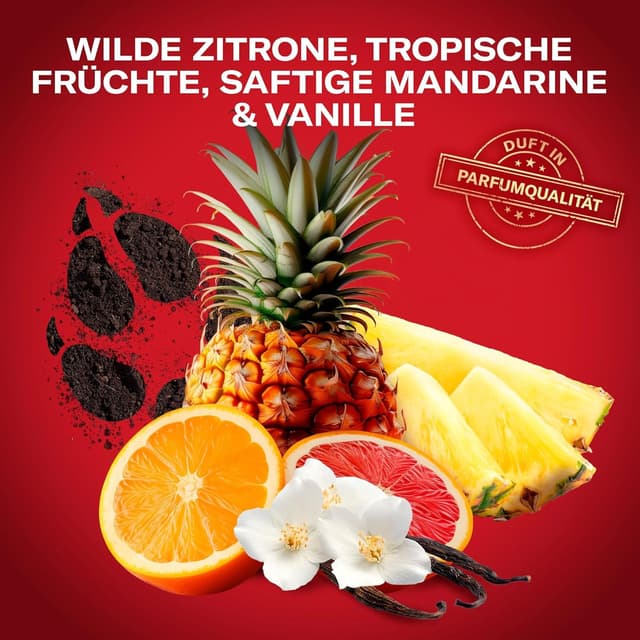 Detalle de Old Spice Wolfthorn Deospray für Männer (250 ml) – 24/7 Frische, 0% Aluminiumsalze