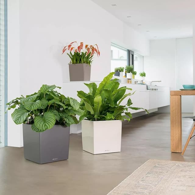 Thumbnail 3 de LECHUZA Cube Premium macetero 30 cm Antracita