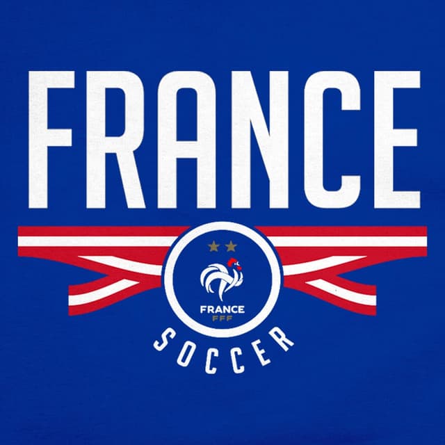 Detalle de Icon Sports National Teams Unisex Cotton T-Shirt 643ct (France Football Federation)