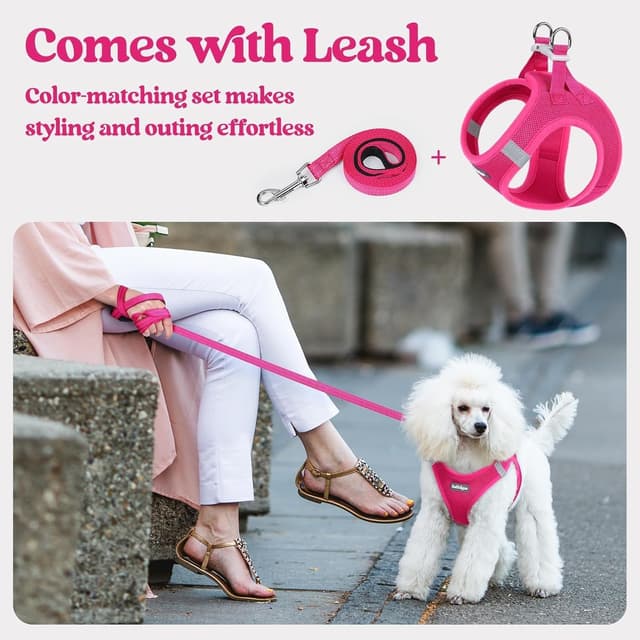 Thumbnail 5 de rabbitgoo Rose Red Small Dog Harness