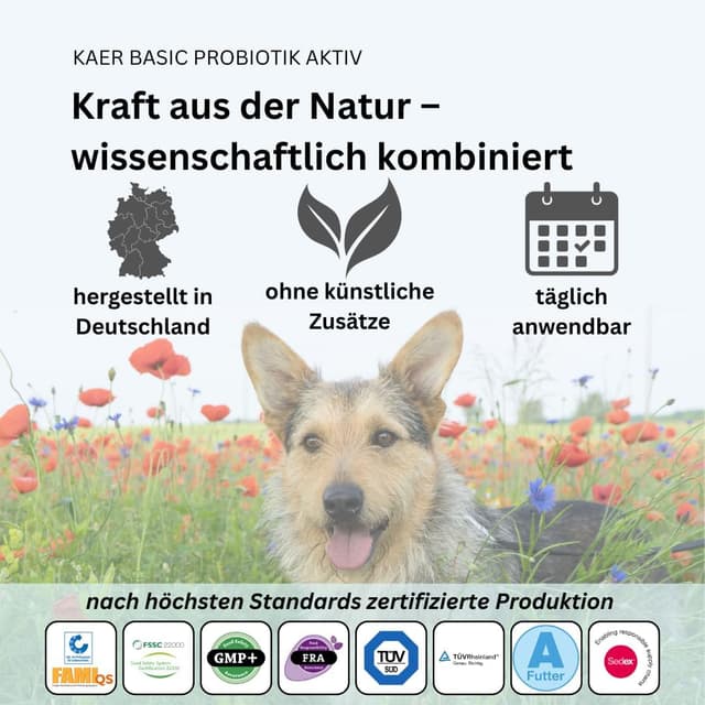Thumbnail 5 de kaer basic Probiotik Aktiv Pulver für Hunde 3x200g