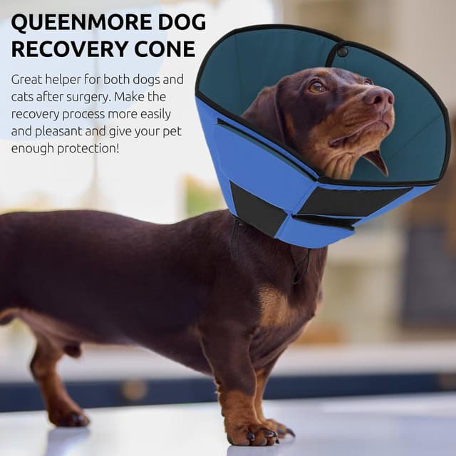 Thumbnail 5 de Queenmore Recovery Collars for Medium Dogs