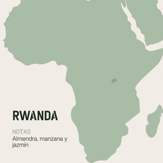 Thumbnail 4 de Incapto Café En Grano Rwanda 1kg ☕️ Especialidad SCA 86