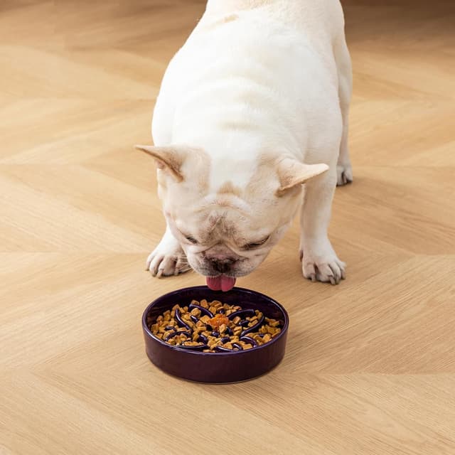 Thumbnail 6 de vancasso Gamelle anti-glouton en céramique 390 ml, design pétales – Violet