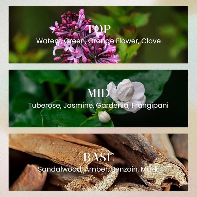 Detalle de Luxury Large Reed Diffuser 300ml 7 Sticks