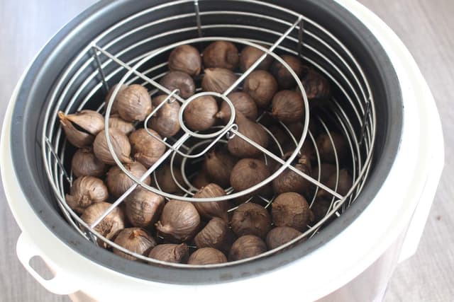 Detalle de MLGB 5l Schwarzer Knoblauch Fermenter