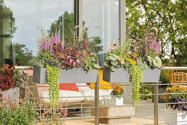 Thumbnail 6 de Lechuza Balconera Stone 80 Grigio Pietra