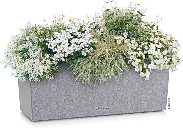 Thumbnail 1 de LECHUZA Balconera Stone 50 – Maceta de Resina Grey