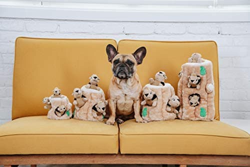 Thumbnail 8 de Outward Hound Hide A Squirrel - Juguete peluche para perros 🐿