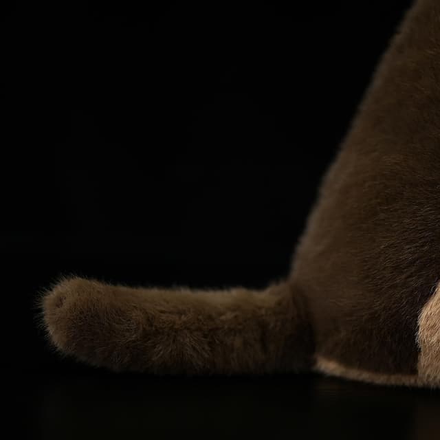 Thumbnail 6 de RLOMUTE 9.8-inch brown groundhog plush toy (25cm) for cuddles, décor and party favours