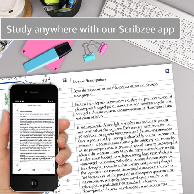 Detalle de Oxford Campus A4 Notebook 140 Page Pack