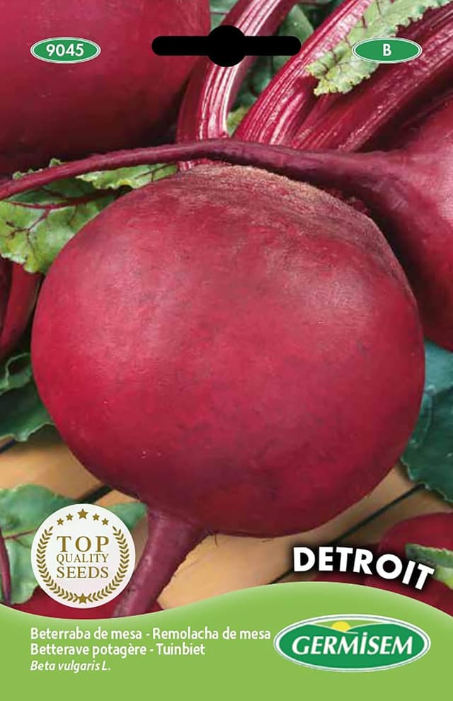 Imagen de Germisem Detroit Semi di Barbabietola 5 g en OfertitasTOP