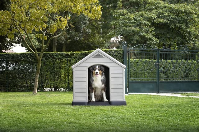 Thumbnail 1 de Curver Caseta de Perro Exterior