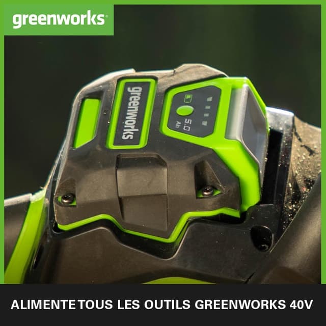 Detalle de Greenworks G40B5 batterie 40V 5Ah