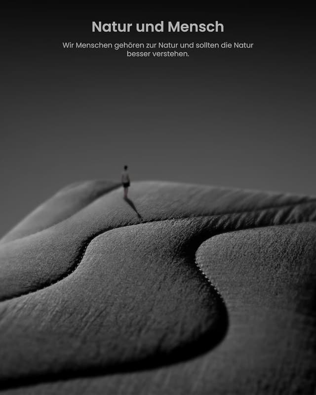 Detalle de tomtoc Terra-A27 gesteppte Laptop-Tasche für 15 Zoll (u. a. MacBook Air 15, Surface Laptop 7/6/5/4)