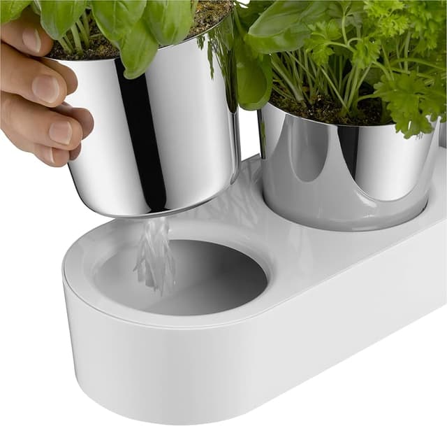Detalle 2 de WMF Gourmet Macetero de hierbas con riego automático 36 cm