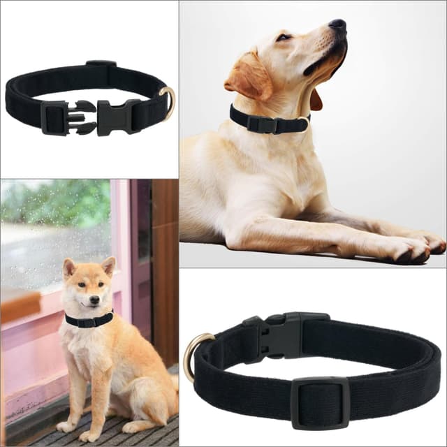 Detalle de Petiry Dog Collar Size M, corduroy comfort