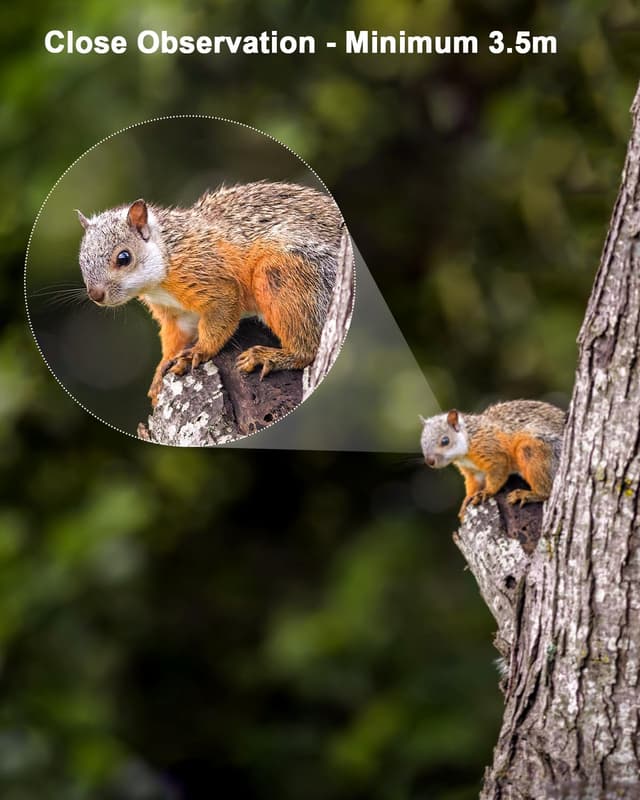 Thumbnail 6 de Usogood 10X42 Monocular for bird watching