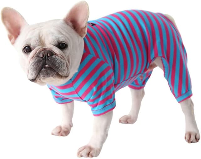 Thumbnail 5 de BT Bear Dog Pajamas Size S