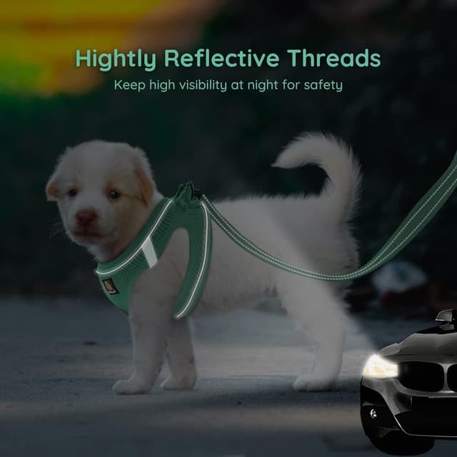 Detalle de BELLA & PAL step-in dog harness and leash set for puppies (XS) – breathable air mesh with reflective strips, green