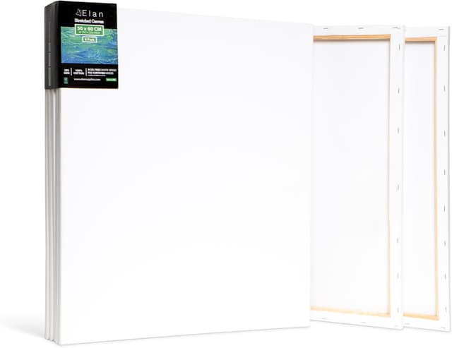 Thumbnail 6 de Elan Toile à peindre 50x50 🎨