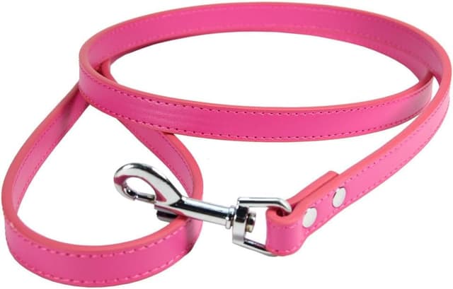 Thumbnail 6 de PU Leather Dog Lead in Orange (1.5cm x 120cm) with Metal Hook Buckle