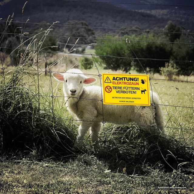 Detalle 2 de XXL Elektrozaun-Schild 30 x 40 cm